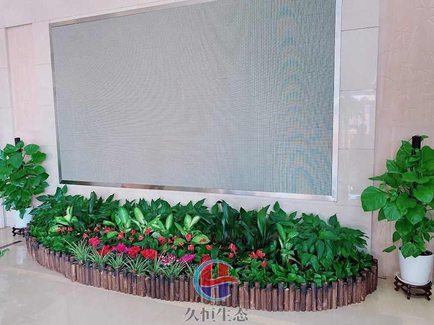 温岭企业大厅显示屏组合花卉绿植摆放